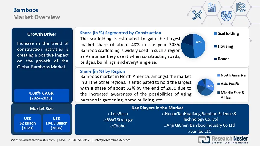 Bamboos Market Overview